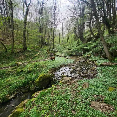Vikendica Beelux Feriehus Banja Luka
