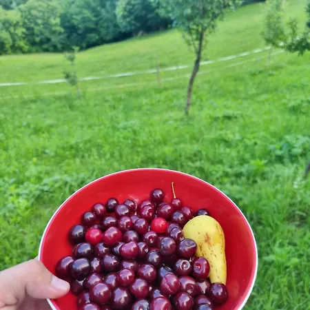 Vikendica Beelux Banja Luka